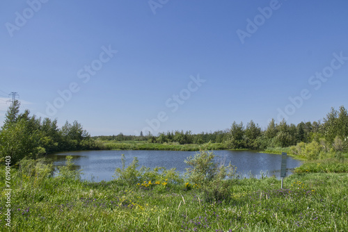 Pylypow Wetlands in the Summer