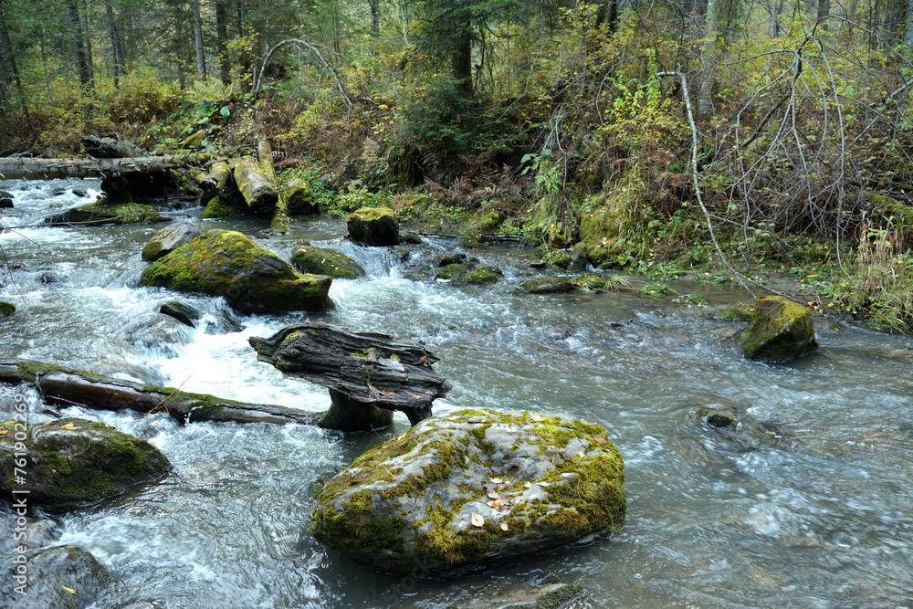 Large stones and fallen tree trunks overgrown with thick moss in the bed of a stormy mountain stream flowing through a cloudy autumn forest. Large stones and fallen tree trunks overgrown with thick moss in the bed of a stormy mountain stream flowing through a cloudy autumn forest.