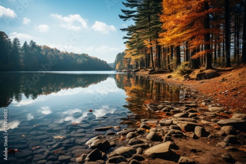 A serene lake nestled among trees and rocks in a forest landscape
