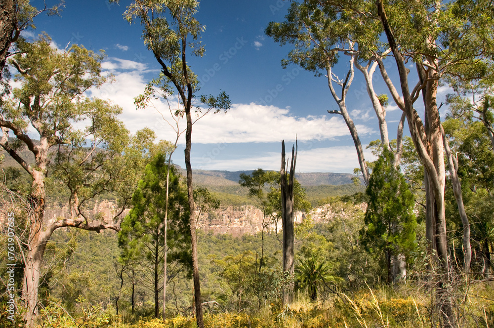 Carnarvon Gorge National Park, Queensland, Australia