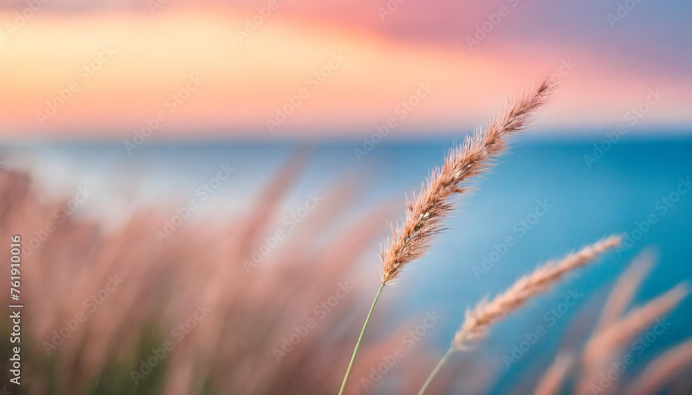 grass stem by serene sea at sunset with watercolor backdrop grass stem by serene sea at sunset with watercolor backdrop