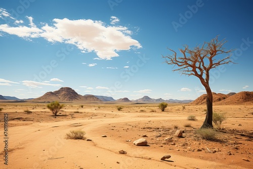 A tree stands alone in the desert, with mountains on the horizon photo