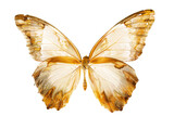 Adorable golden butterfly wings