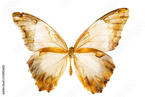 Adorable golden butterfly wings © rzrstudio