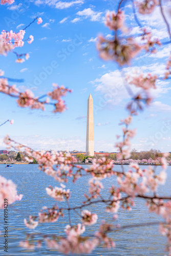 Washington, DC at the Tidal Basin and Washington Monument during cherry blossom festival in spring season. © Chansak Joe A.