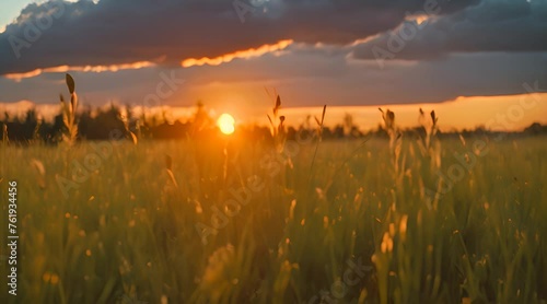 sunset in the grass abstract background7.mp4, sunset in the grass abstract background photo