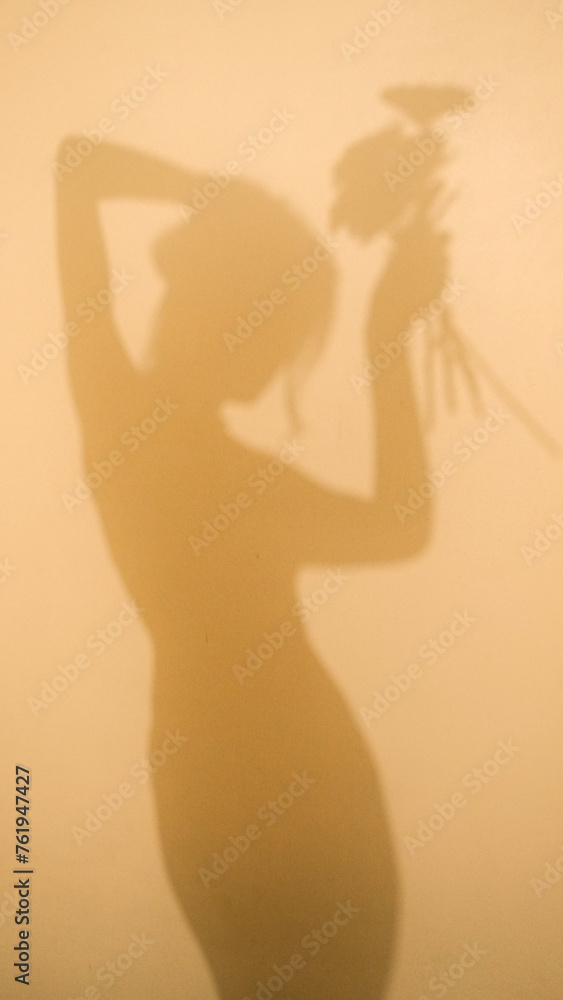 Shadow silhouette figure of young woman holding flower bouquet and dancing in morning sunlight. Shade of girl on wall. Concept of self-love, care, rest, home, lifestyle, aesthetic, freedom, minimalism