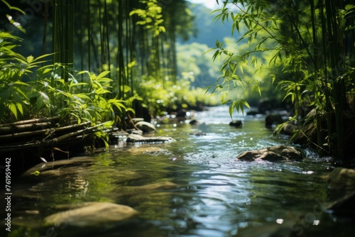 Water flowing through a green forest with trees, grass, and plants
