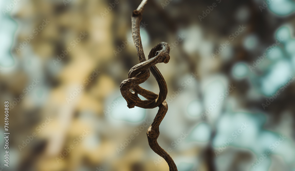 Obraz premium rusty chain branch