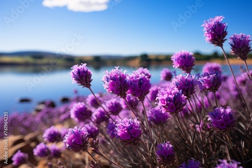 Purple flowers bloom in a field next to a serene lake under a blue sky