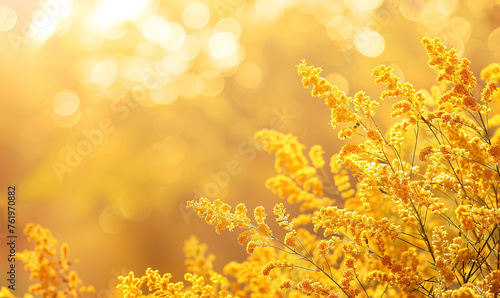 goldenrods flower background-generative ai