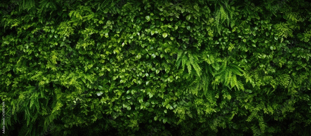 Green wall texture