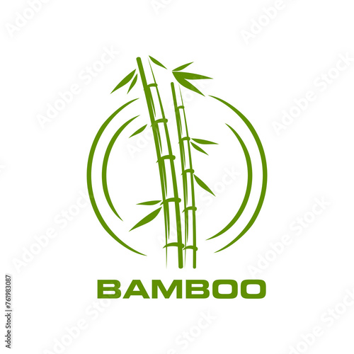 Asian bamboo icon, beauty and health, spa massage symbol. Spa and massage salon green label with bamboo, jungle forest vector sign or beauty eco product nature icon. Organic packaging plant symbol