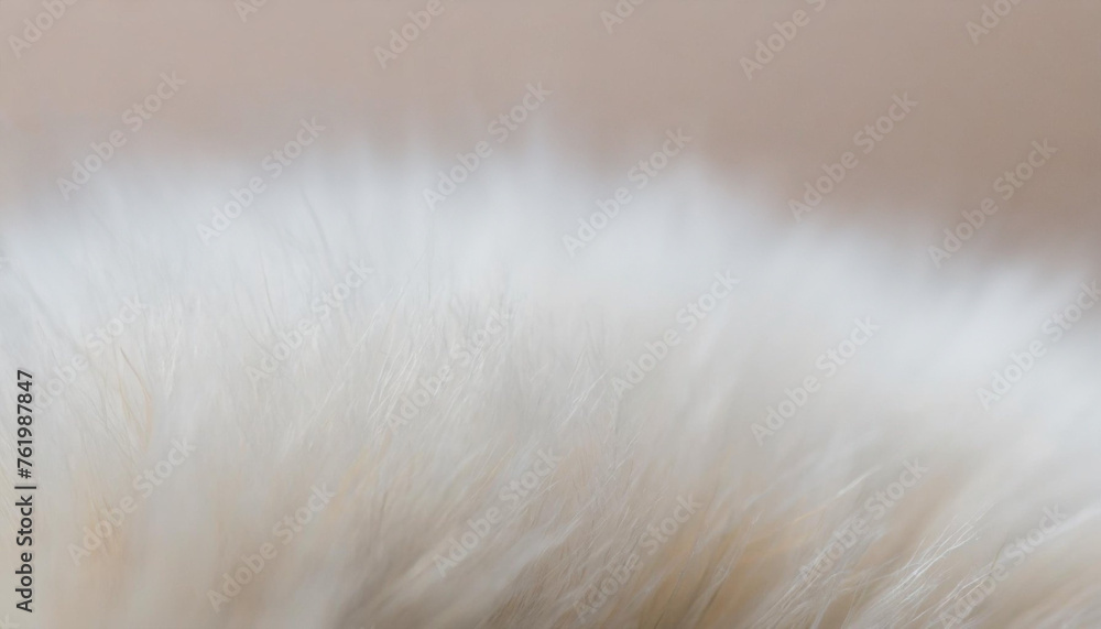 Closeup of white fluffy fur on pink background Closeup of white fluffy fur on pink background