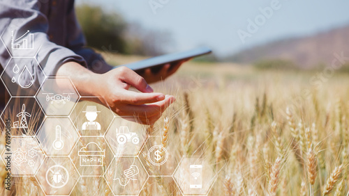Farmer inspects barley and uses agricultural technology to analyze data via tablet Concept of smart agriculture and modern technology, pictogram icon