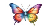 A Colorful butterfly