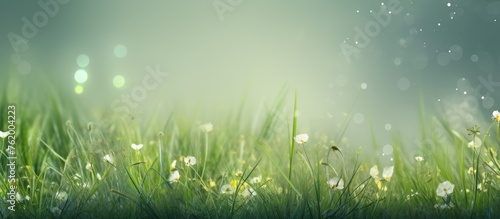Glistening Morning Grass Blades with Sparkling Dew Drops in Nature's Embrace