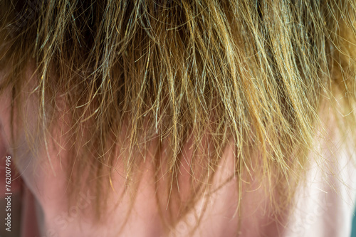 Close up of women's damaged split ended hair. Hair damage is risk for further damage and breakage.