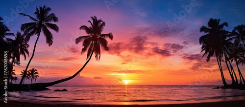 A peaceful shore with palm trees at sunset © Ilgun