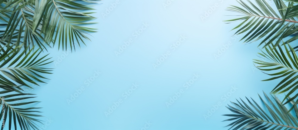 Palm leaves on a blue background
