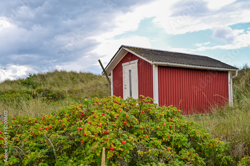 Laholm Bay Beach, Laholmsbuktens beach, the longest sandy beach in Sweden with beautiful dunes and meadows and a red cabin Mellbystrand, Halland, Sweden	 photo