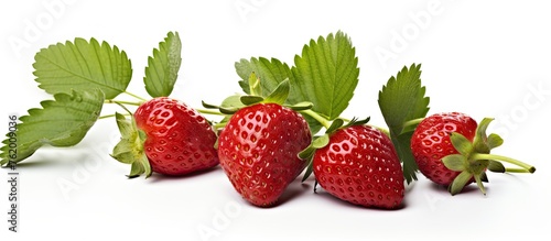 Vibrant Red Strawberries Overflowing in Abundant Harvest Fruit Pattern