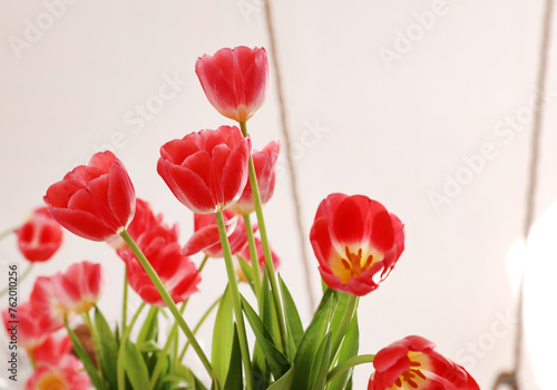 red tulips