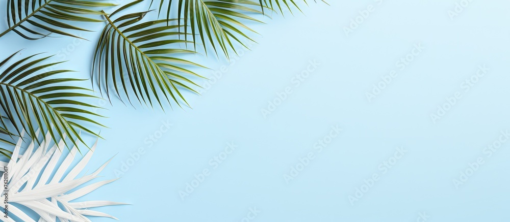 Tropical green leaves on blue backdrop