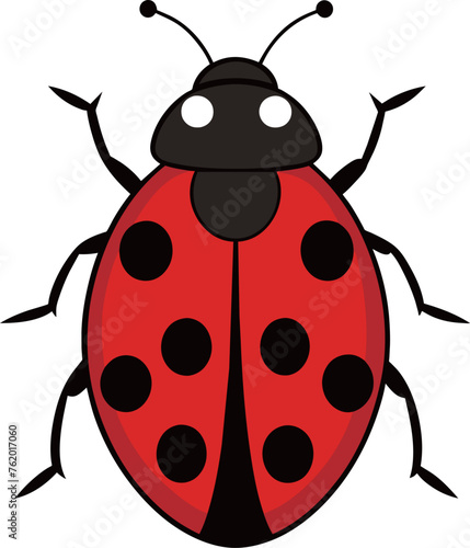 Hand drawn vector ladybug illustration © 沈 建亨