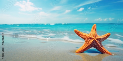 star fish on blue beach sands