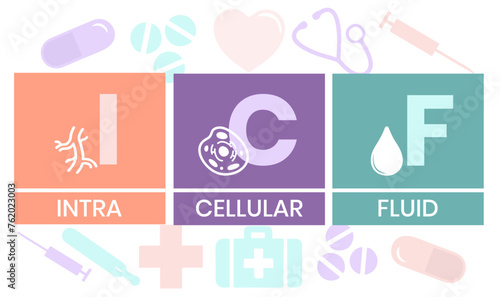 ICF - intracellular fluid acronym. medical concept background. vector illustration concept with keywords and icons. lettering illustration with icons for web banner, flyer