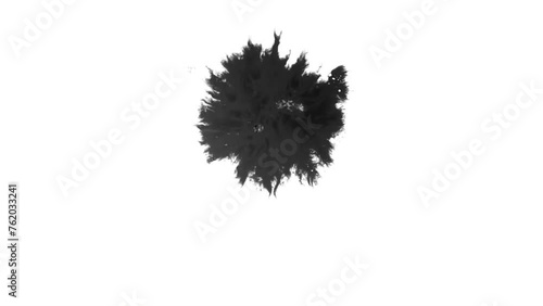 hedgehog made of snow isolated