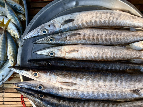 Barracuda or Seapike ( Sphyraenidae ) fish in a steel tray,  Sea fishes in market, Thailand