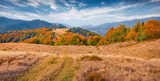 Colorful autumn scene of scene of Krasna mountain range, Transcarpathian, Ukraine, Europe. Stunning morning view of Carpathian mountains. Beauty of nature concept background..