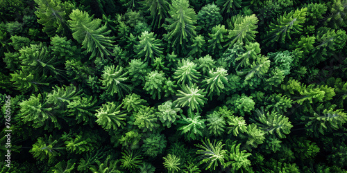 aerial view of green forest background, banner