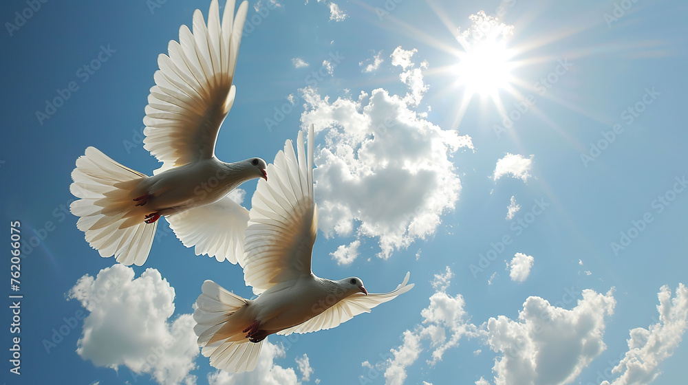 Fototapeta premium Two white doves flying in the blue sky with white clouds.