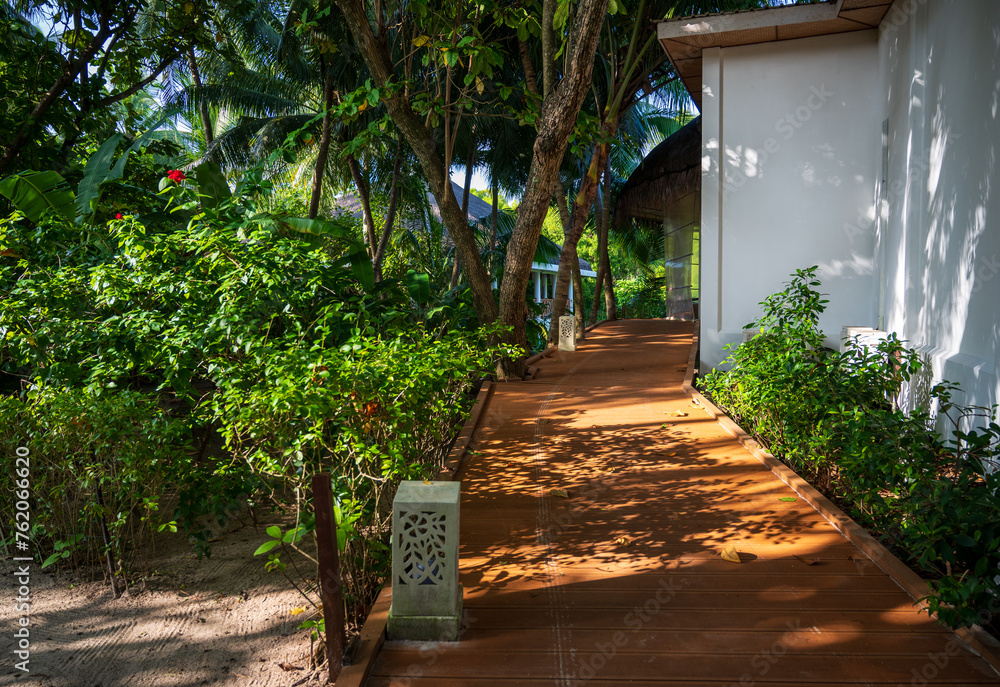 Wooden bridge leading to a building in a dense tropical forest.