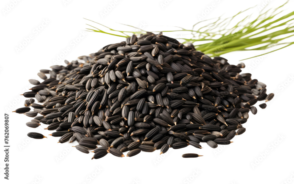 Pile of Sunflower Seeds With Green Stalk. On a White or Clear Surface PNG Transparent Background. Pile of Sunflower Seeds With Green Stalk. On a White or Clear Surface PNG Transparent Background.
