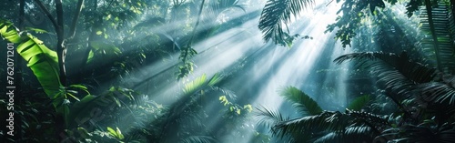 tropical forest with sunbeams in the morning  panorama. Banner.