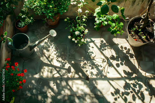 A top view of a garden with plants, flowers, and a watering can casting intricate shadows on the ground
