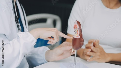 Doctor with human Pancreatitis anatomy model with Pancreas, Gallbladder, Bile Duct, Duodenum, Small intestine. Pancreatic cancer, Acute and Chronic pancreatitis, Digestive system and Health concept photo