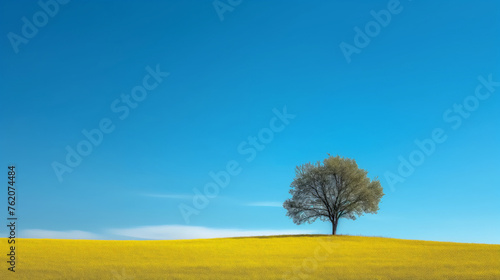 A lone tree stands amidst vibrant mustard fields under a clear blue sky, a wide-angle natural landscape