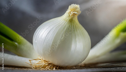 Close up Photo of Fresh Organic White Onion Vegetable in the Farm