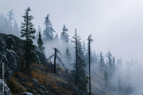 Mountain slopes with growing coniferous trees, shrouded in fog and cloudy sky. The concept for the development of tourism, mountaineering, skiing, rock climbing, excursions in the mountains. 