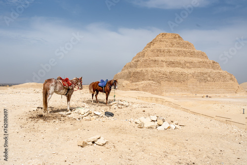horses at the sakkara pyramid in egypt