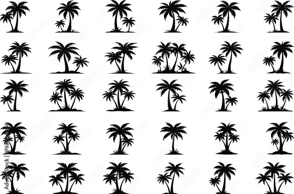 Set of tropical palm trees with leaves, mature and young plants, black silhouettes isolated on white background