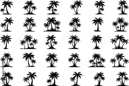 Set of tropical palm trees with leaves, mature and young plants, black silhouettes isolated on white background