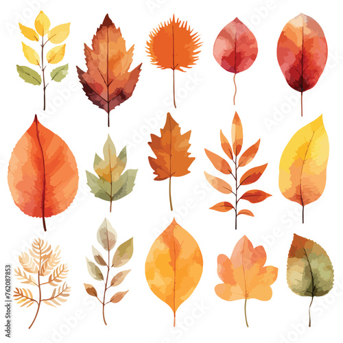 Autumn Leaves clipart isolated on white background