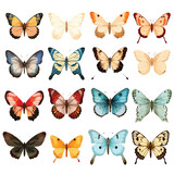 Boho butterflies clipart isolated on white background