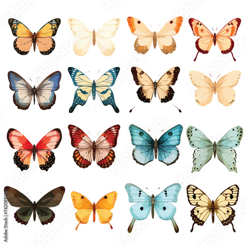 Boho butterflies clipart isolated on white background © Aina